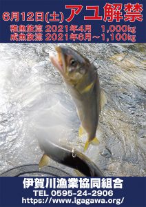 2021年度 アユ釣り情報