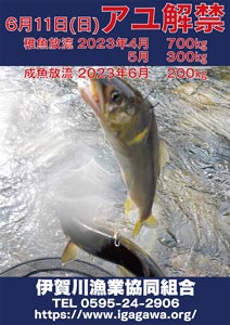 2023年度 アユ釣り情報